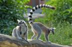 Yacht charter Madagascar