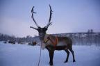 Yacht charter Finland